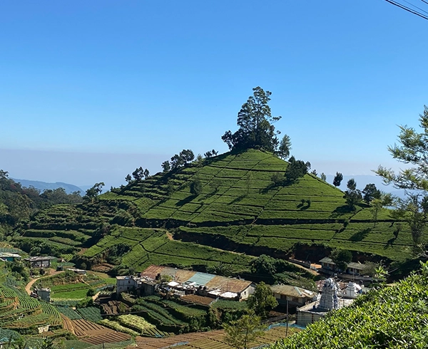 Kandy to Nuwara Eliya