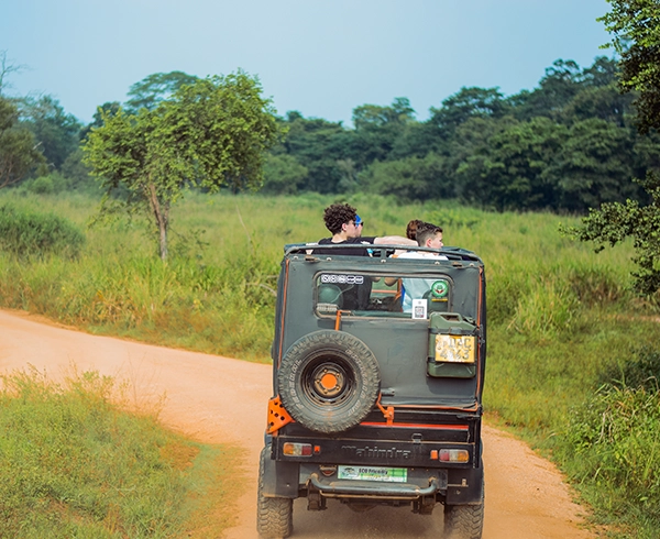Yala to Beruwala