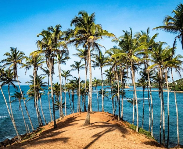 Mirissa